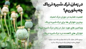 در زمان ترک تریاک و شیره تریاک چه بخوریم؟ در زمان ترک تریاک و شیره تریاک چه بخوریم؟